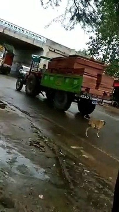 आगरा: खनन माफियाओं के हैं हौसले बुलंद, वीडियो वायरल