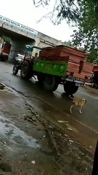 आगरा: खनन माफियाओं के हैं हौसले बुलंद, वीडियो वायरल