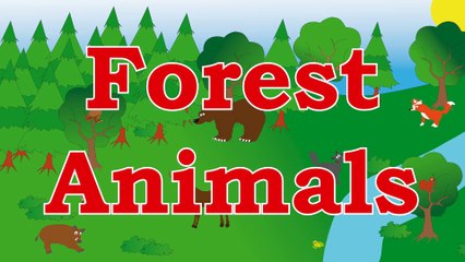 Learn Forest Animals – Sounds for kids, children, babies and toddlers – Best Learning For Kids