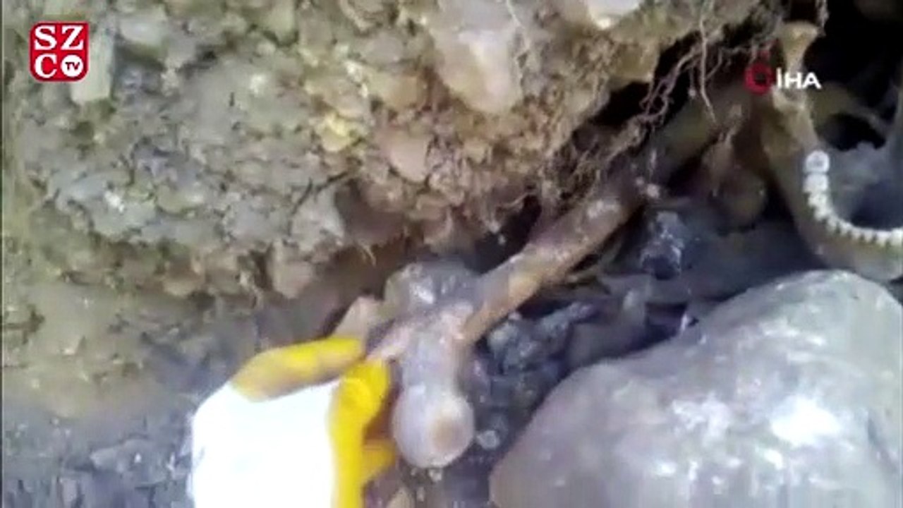 Atık su kanalı kazısında insan kemikleri, mermi ve çürümüş çarıklar bulundu