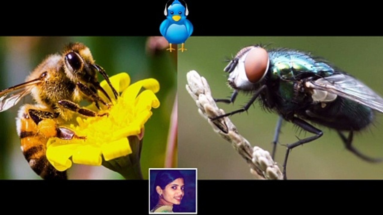 Tweet for the Day 023 Motivational Talk by Sherin Chacko