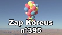 Zap Koreus n°395