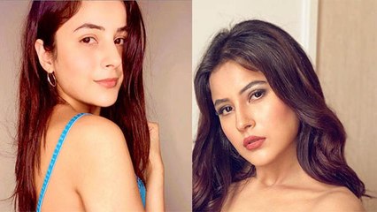 Shehnaaz Gill का Shocking Transformation देख Fans के उड़े होश, पहचानना हुआ मुश्किल । Boldsky