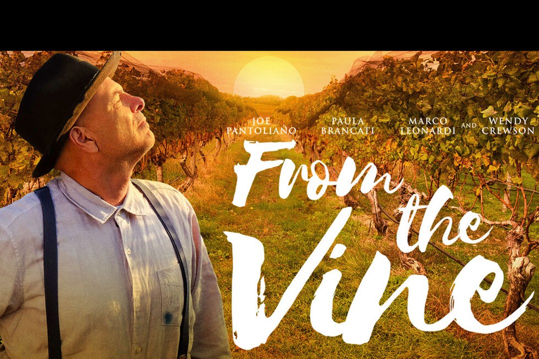 From The Vine Trailer #1 (2020) Joe Pantoliano, Paula Brancati Drama Movie HD