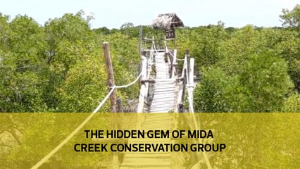 The hidden gem by Mida creek conservation group