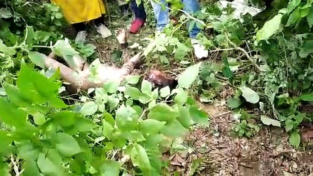 जंगल में जहां मिला बहन का कंकाल, वही भाई का मिला शव