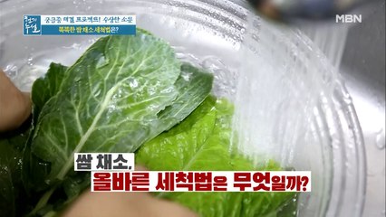 똑똑한 쌈 채소 세척법 보고 가세요*^^*