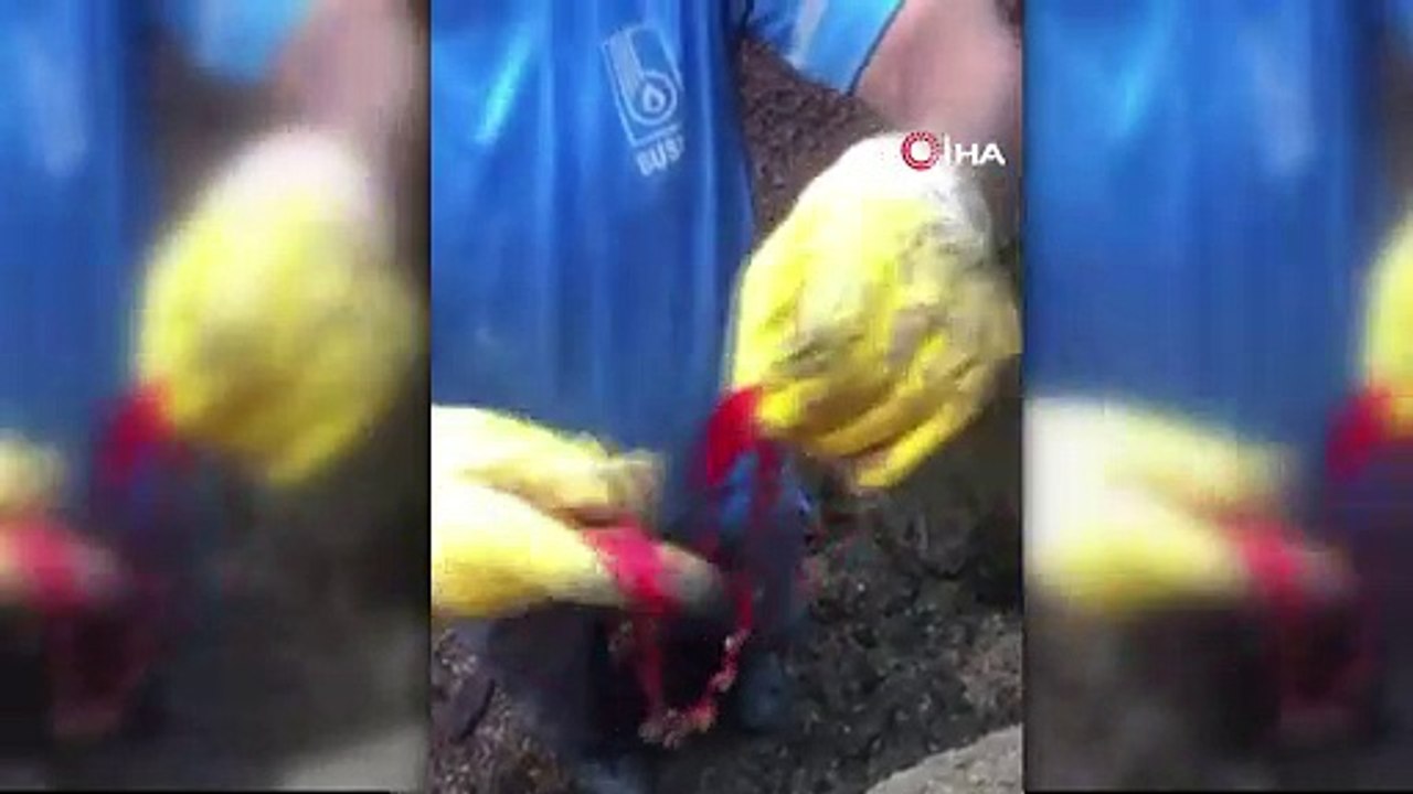 Kanalizasyona düşen çeyrek altınlar için yolu kazdılar