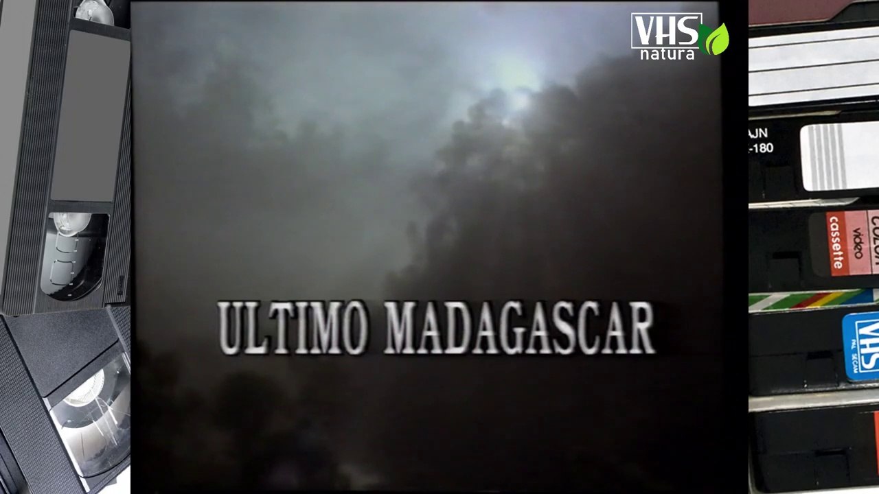 ULTIMO MADAGASCAR