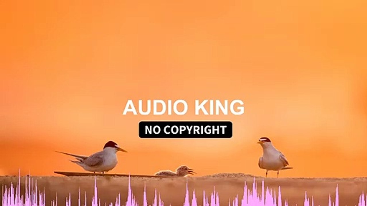 Alex Keeper - Can You Stay|Audio King|