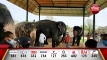 हाथी गांव में हाथियों की मौत का सिलसिला जारी