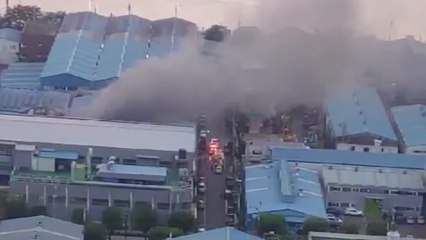 부산 다대동 전기패널공장에서 불...다친 사람 없어 / YTN