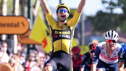 Tour de France 2020 - Wout Van Aert : 'I'm really proud of this one'