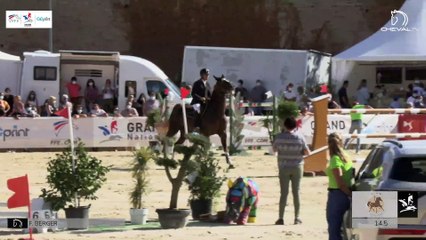 GN2020 | SO_06_Cluny | Pro Elite Grand Prix (1,50 m) Grand Nat | Frederic BERGER | TANKA DU MARAIS