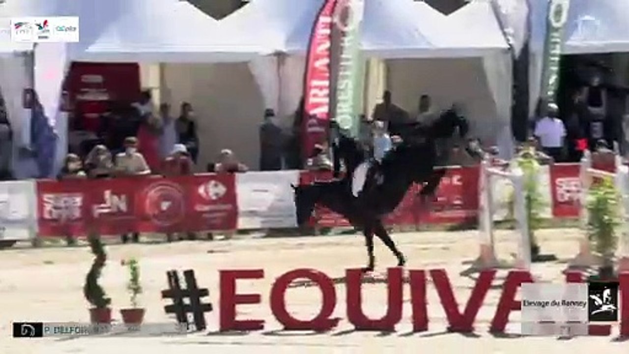 GN2020 | SO_06_Cluny | Pro Elite Grand Prix (1,50 m) Grand Nat | Paul DELFORGE | ALLBLACK DE GRESSOUX