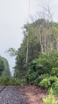 Helicopter Chainsaw Trims Through Trees like Butter