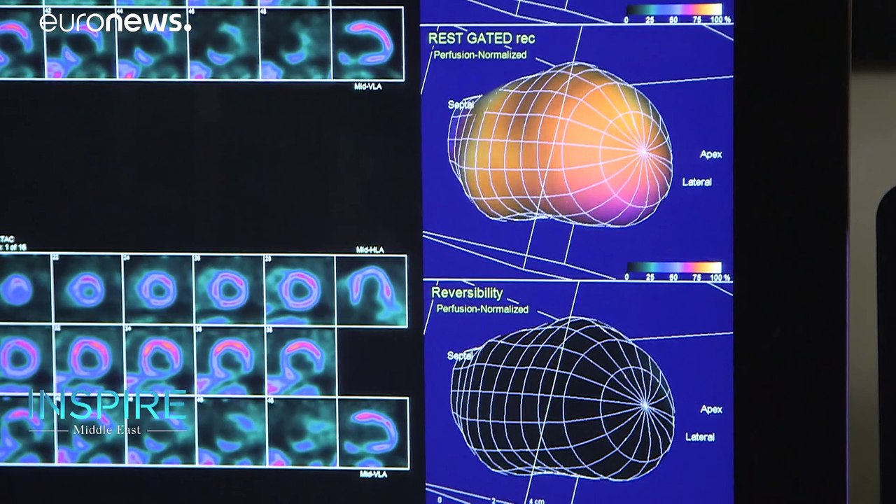 Avec la centrale de Barakah, les Émirats arabes unis se tournent vers l'énergie nucléaire