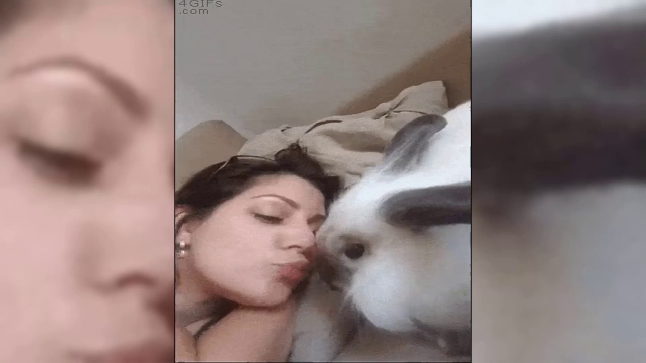 r/gifs | Daily juicy gifs memes | Funny Meme Gifs Showing That Daily you laugh | Gifs | Funny Video