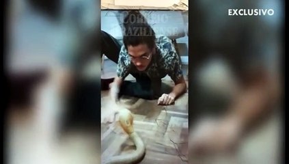 Caso Naja: Vídeo exclusivo mostra acusados de tráfico extraindo veneno e brincando com cobra