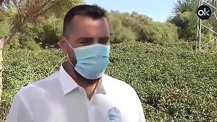 Tres guardias civiles recibidos a tiros tras descubrir una plantación de marihuana