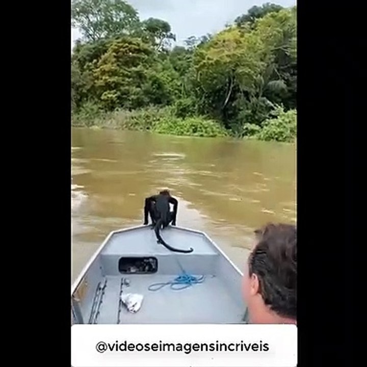 Carona para o Macaco!!