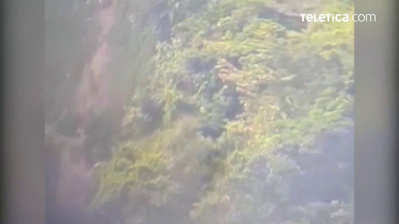 Búsqueda Allison Bonilla