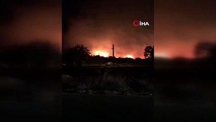 Ödemiş’te ikametten çıkan yangın otluk ve zeytinlik alana sıçradı