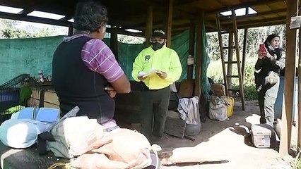 Ocho capturados en operación contra la deforestación en Colombia