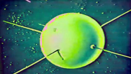 Experience The Grinning Plowman's Live Performance of 'Nothing Is Ever What It Is' 🎶