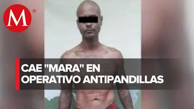 Capturan a integrante de la Mara Salvatrucha en Chiapas