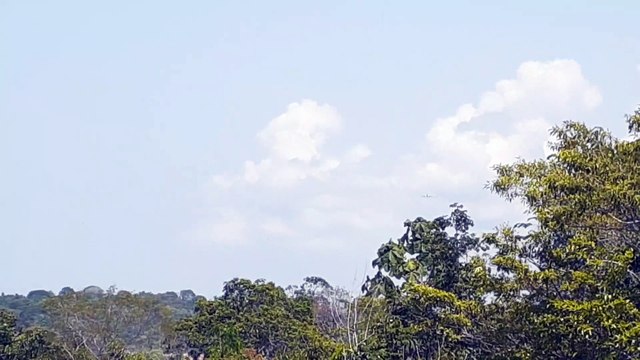 [SBEG Spotting]Airbus A330 PR-AIU na final antes de pousar em Manaus vindo de Campinas(04/09/2020)