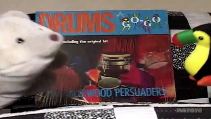 Wild Record Collection #27