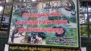 Suruli Falls |  Tourist attractions in the Theni , Tamil Nadu