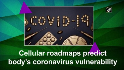 Cellular roadmaps predict body’s coronavirus vulnerability