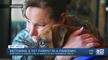 More Arizonans turn to pets for mental health support during pandemic