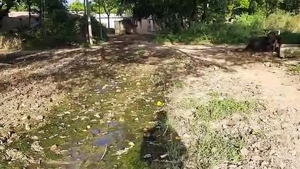 सीतापुर: ग्राम पंचायत में जमकर हुआ भ्रष्टाचार, अधिकारी बैठे मौन
