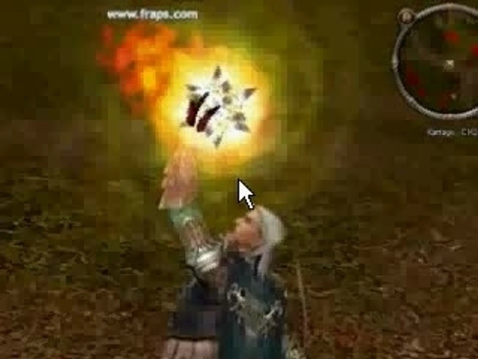 metin2 skill