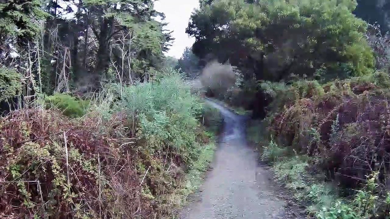 1eSan Francisco CA/ trip to ocean/ voyage a l ocean/ viage al oceano /viagem ao oceano/