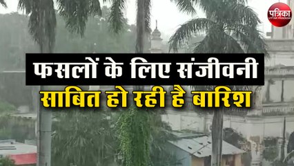 पितृपक्ष के पहले ही दिन से हो रही बारिश से धरती हुई तरबतर