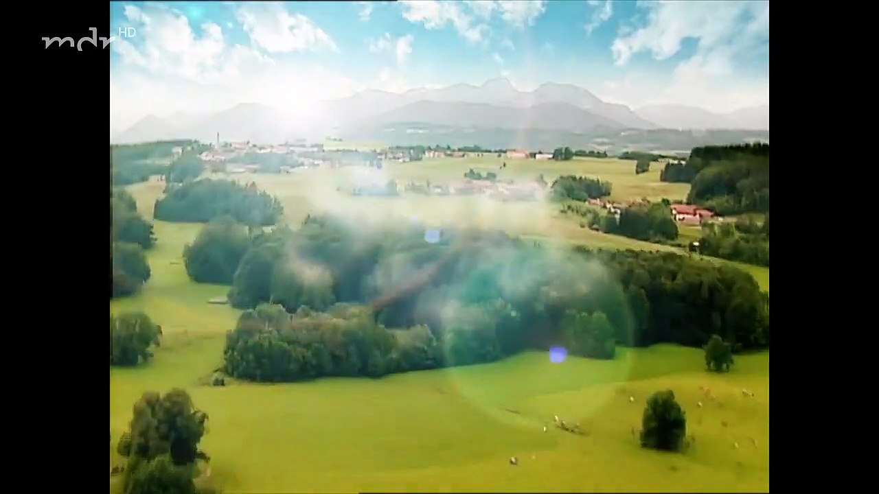 Sturm der Liebe Folge 113