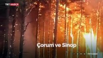 Çorum ve Sinop arasındaki orman yangını sürüyor
