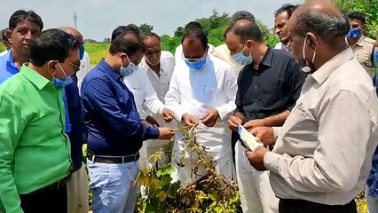 क्षेत्रीय विधायक रामलाल मालवीय ने प्रशासनिक अमले के साथ किया दौरा