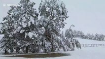 Watch as early September snowstorm hits Wyoming with a foot of snow