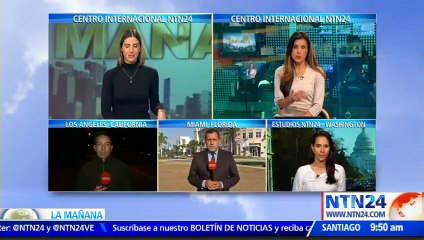 Cocodrilo de 3 metros en la Florida