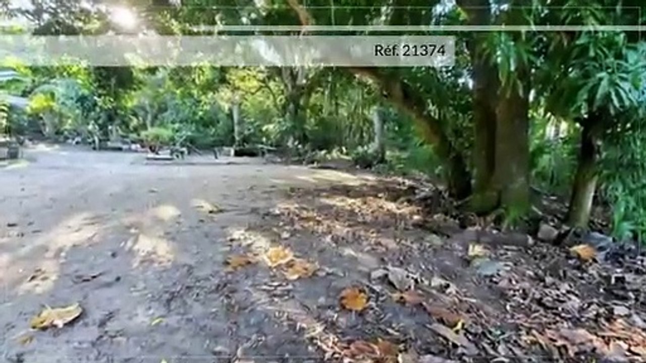A VENDRE TERRAIN DE 805M2 BORD DE ROUTE -  HAAPITI-MOOREA (LOTA)