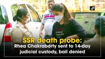SSR death probe: Rhea Chakraborty sent to 14-day judicial custody, bail denied
