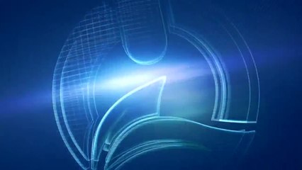 Estudio advierte que a los koalas les quedarían sólo 30 años de existencia