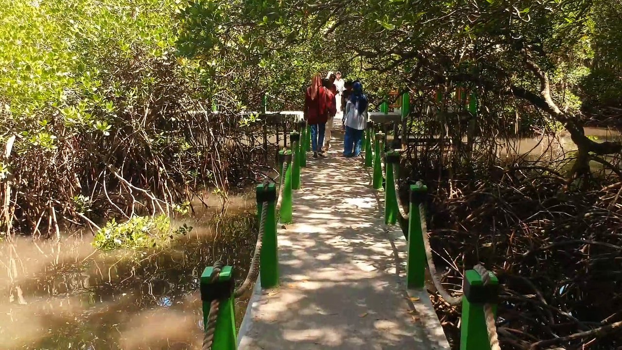 Baluran (April 2019)