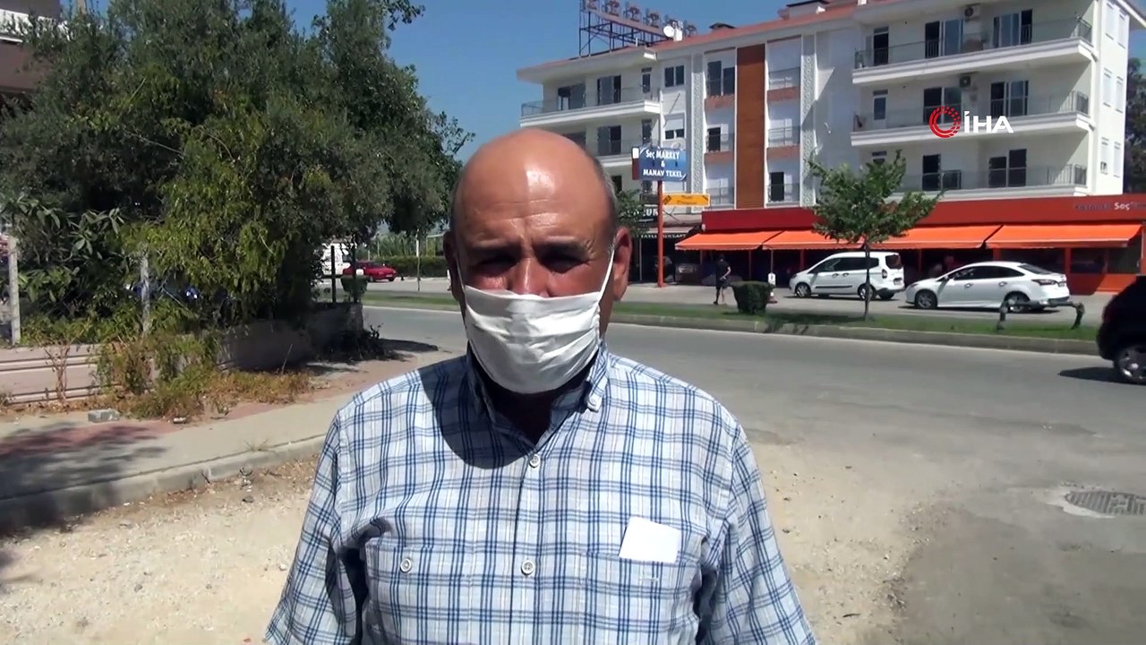 Domuz çiftliği köylüleri canından bezdirdi