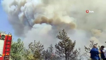 Samandağ’daki orman yangını büyüyerek devam ediyor